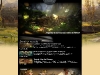web-design-fw-site
